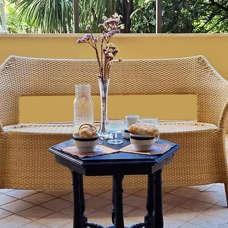 Io Sciu Sciu Santa Maria Capua Vetere